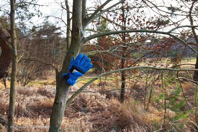 Handschuh am Ast