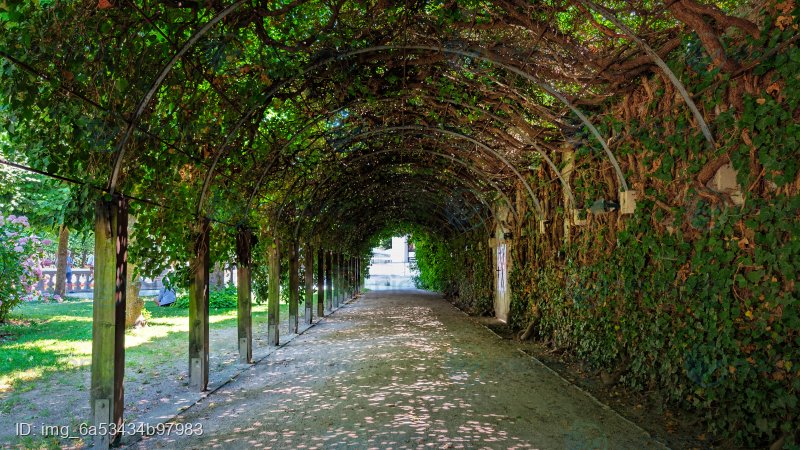 Überwachsener Weg im Mirabellgarten Salzburg